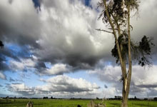 昂热客场逼平兰斯，保持连胜不败