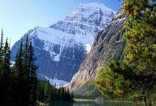 雄鹿客场落败马刺，遭遇两连败